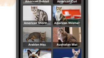 Gambar 0 untuk 