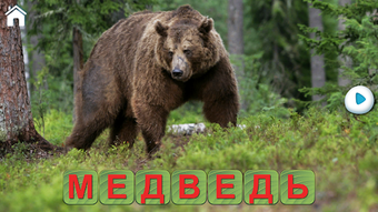 Изображение 0 для 
