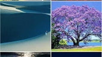 の画像0