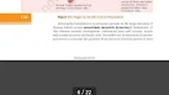 的第0张图片