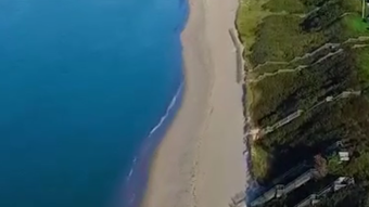 の画像0