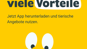 Gambar 0 untuk 