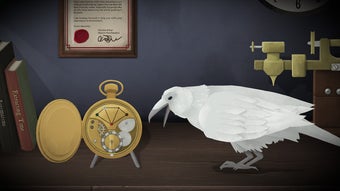 الصورة 0 لـ 