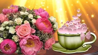 Hình ảnh 0 cho 