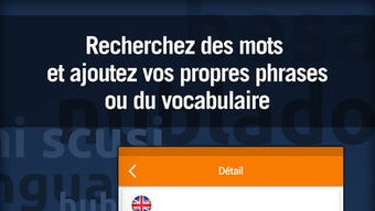 MosaLingua : cours de langues