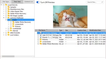 Stellar Photo Recovery Free