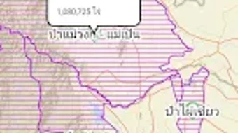 الصورة 0 لـ 