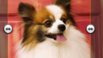  için 0 numaralı resim