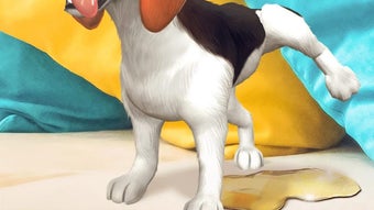 الصورة 0 لـ 