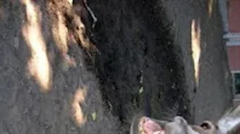 の画像0