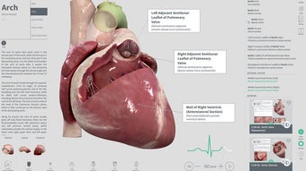 Complete Heart