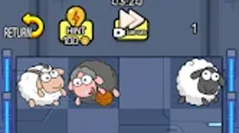 의 이미지 0