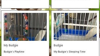 รูปภาพ 0 สำหรับ 