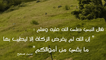 Immagine 0 per 