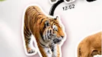 의 이미지 0