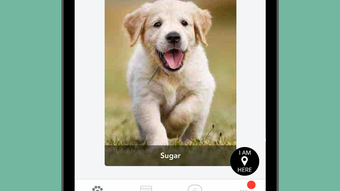  için 0 numaralı resim