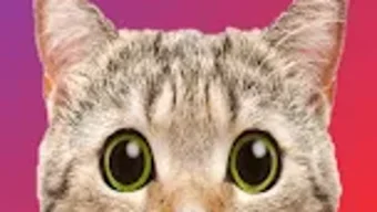 Imagem 0 para 