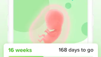 Nurture Pregnancy Week by Week