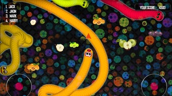 Silthworm Snakes