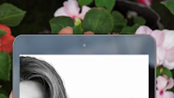 Bild 0 för 