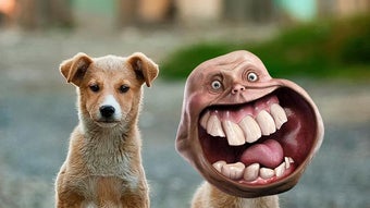 รูปภาพ 0 สำหรับ 