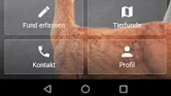 الصورة 0 لـ 