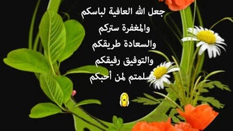 الصورة 0 لـ 