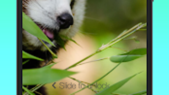  için 0 numaralı resim