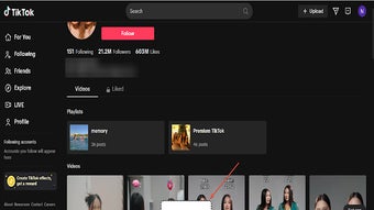 Tiktok Bulk Downloader