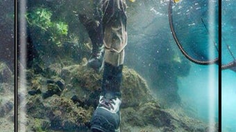 Изображение 0 для 