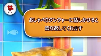 の画像0