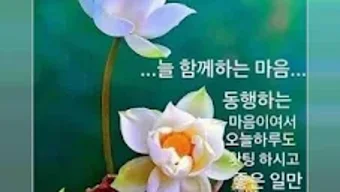 的第0张图片