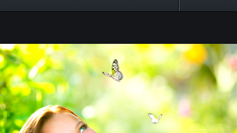 รูปภาพ 0 สำหรับ 