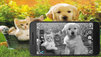 Imagem 0 para 