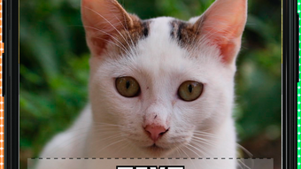 Gambar 0 untuk 