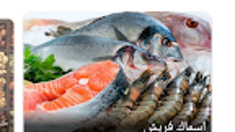 الصورة 0 لـ 