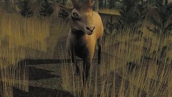  için 0 numaralı resim