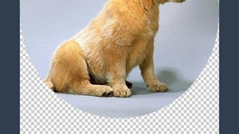 الصورة 0 لـ 