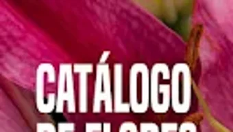 Immagine 0 per 