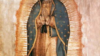 La Rosa de Guadalupe