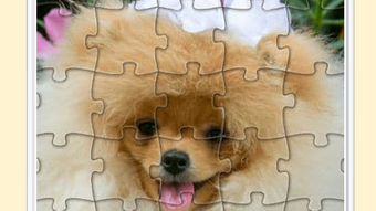 の画像0