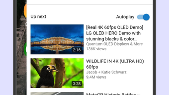 Obraz 0 dla 
