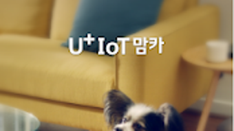 의 이미지 0