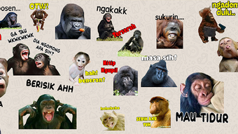 รูปภาพ 0 สำหรับ 