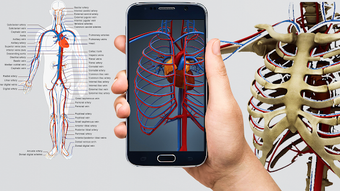 Human anatomy 3D : Organs and Bones APK cho Android - Tải về