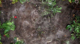 Image 0 for 