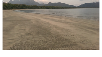 Image 0 for 