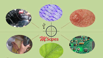  için 0 numaralı resim