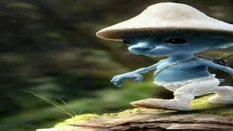 Imagem 0 para 