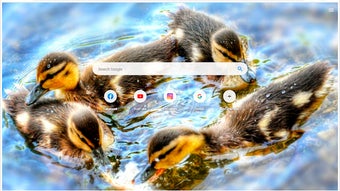 Duckling Wallpapers New Tab